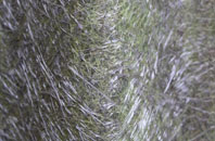 Kellaways fibreglass roof work